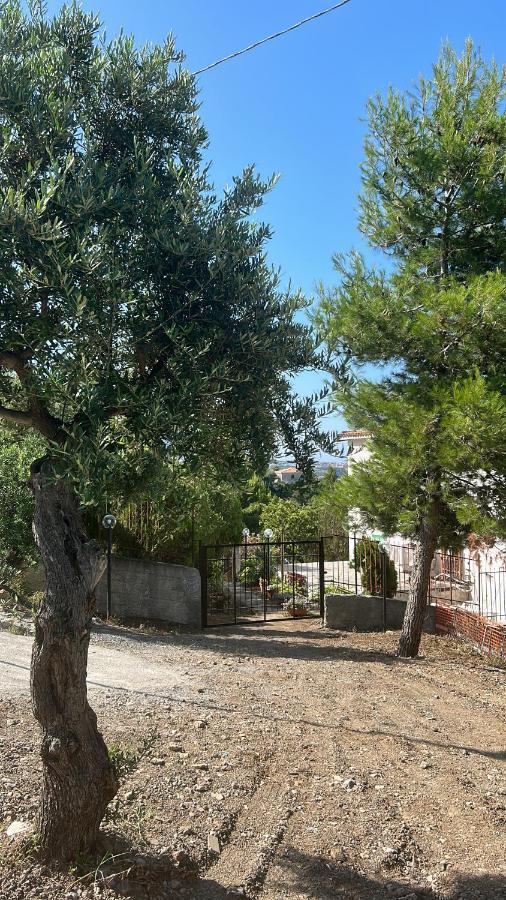 Villa Loren Praia a Mare Exteriör bild